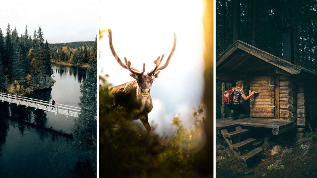 topp-vandringsleder-sverige