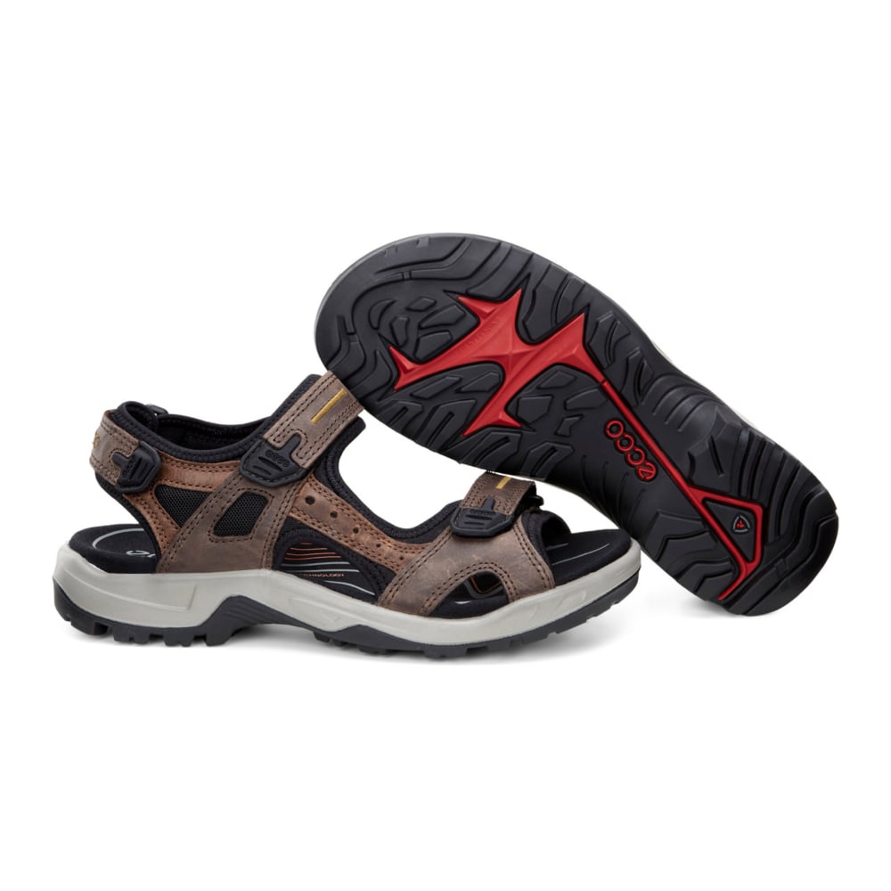 ECCO Sandal Herre Offroad Espresso Cocoa Brown Black OS