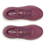 Saucony Echelon 10 Løbesko Dame Terra Almond